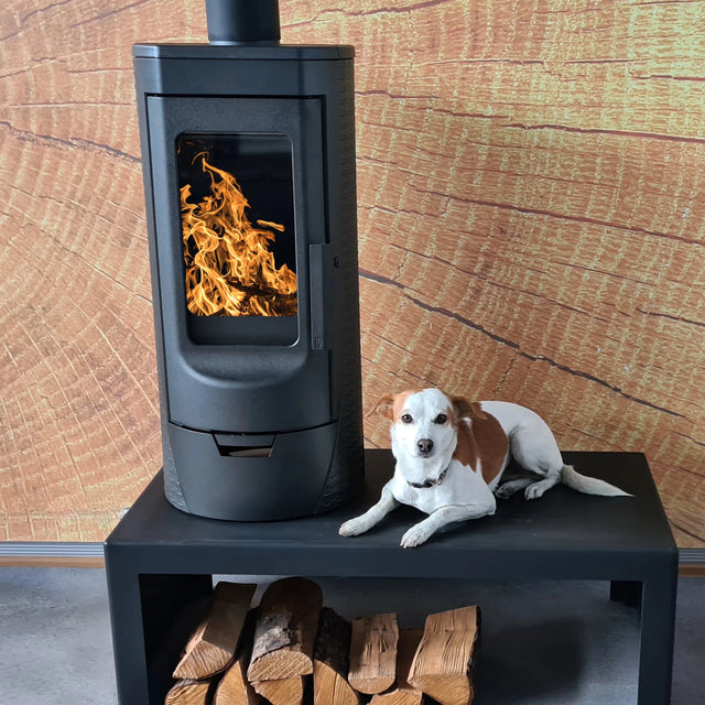 Design - Gusskaminofen Plamen Tara – raumluftunabhängig - GEMA Shop