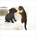 Hund und Katze auf Radiator neben Moderne Holzvergaserheizung mit hoher Effizienz